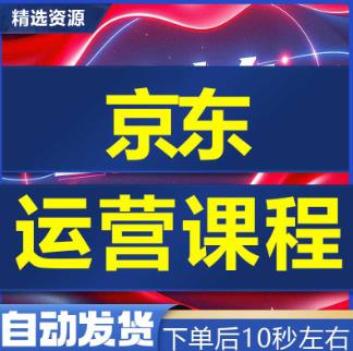 自学京东新手到高级自营开店电商运营全套课程全视频培训实操教程