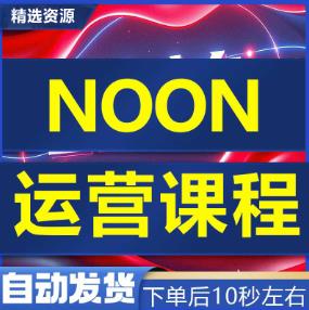 NOON学习课程自学NOON教程 NOON新手选品运营广告课中东电商平台