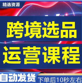 系统自学选品课程跨境电商选品教程产品开发培训选品分析工具助手