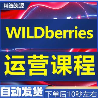 自学俄罗斯WB本土跨境WildBerries野莓入驻开店注册教程新手运营