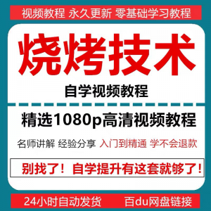烧烤技术教程视频配方书东北重庆烧烤技术配方教程自学教材零基础