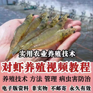 对虾养殖技术视频教学教程水质管理日常养护疾病防治南美白素材