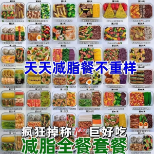 减肥食谱电子版课程 减脂餐一日三餐指导科学健康瘦身配餐计划