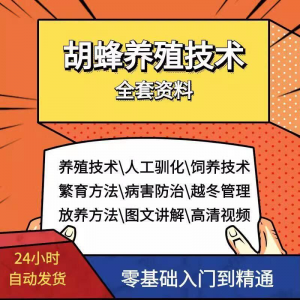 胡蜂养殖技术蜜蜂视频资料黄蜂黑盾怎样养胡蜂人工饲养教程大全