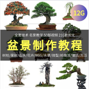 盆景制作技术视频教程工艺教学果树桩山水微型造型全套
