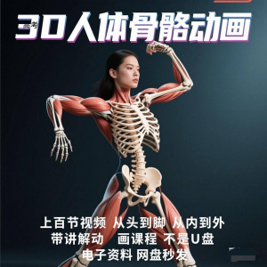 中医人体骨骼肌肉学习3D动态讲解演示视频自学零基础中医人体高考