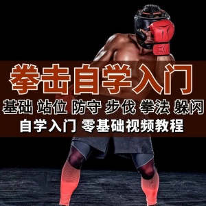 全套拳击指导视频教程自学零基础小白入门自卫搏击格斗防护资料