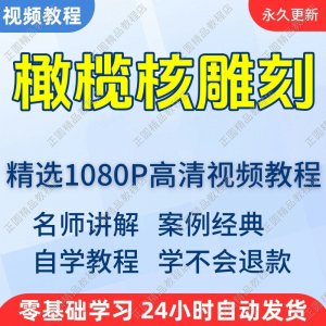 橄榄核雕刻视频学习教程新手自学零基础入门精通教学课程全集